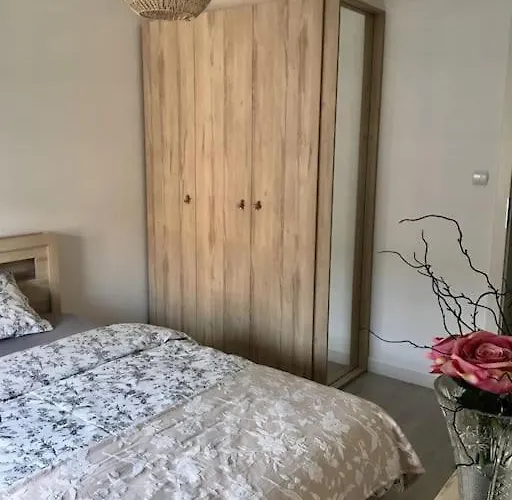 New In Downtown /parking 斯武普斯克